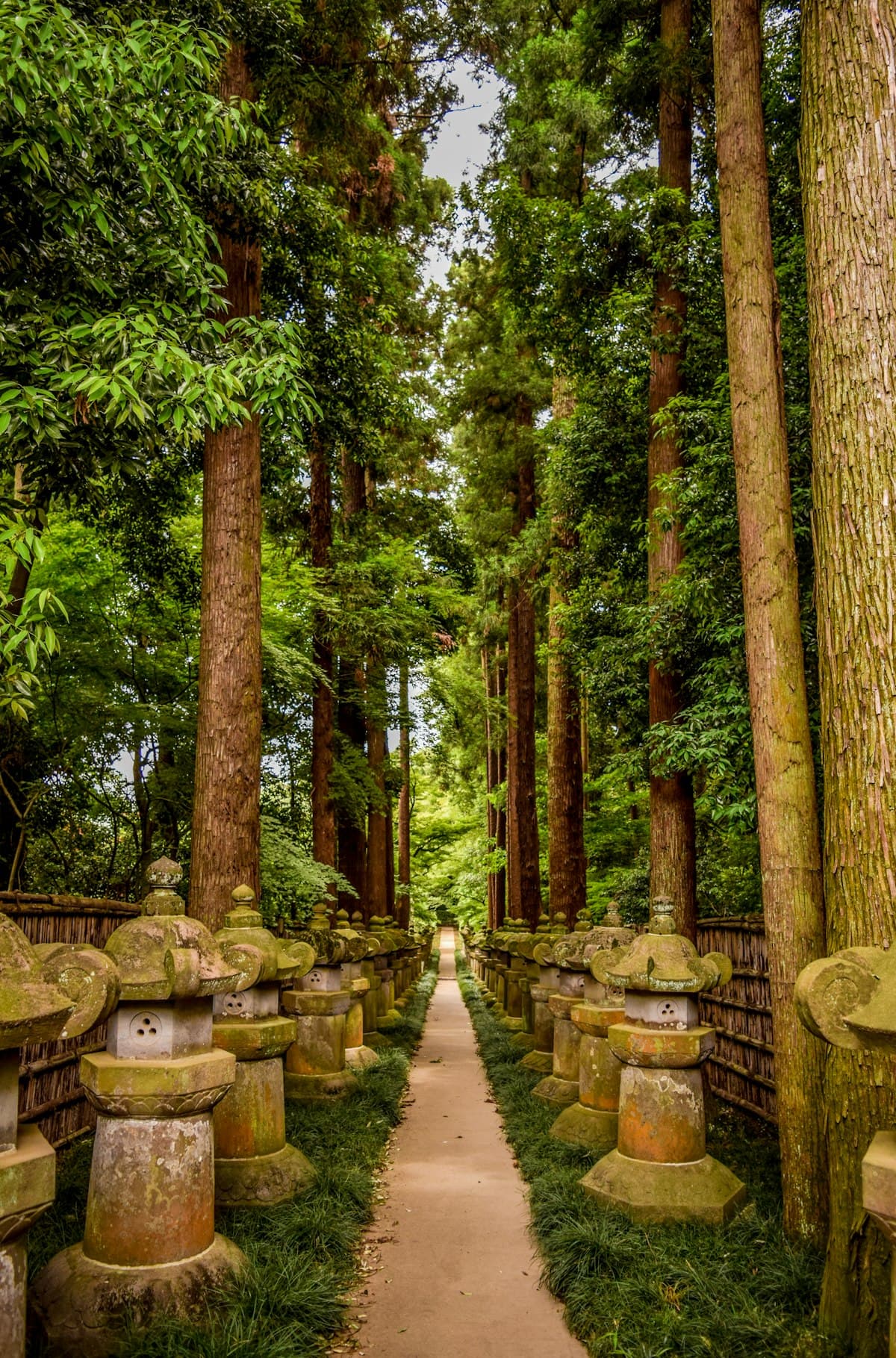 Mount Koya