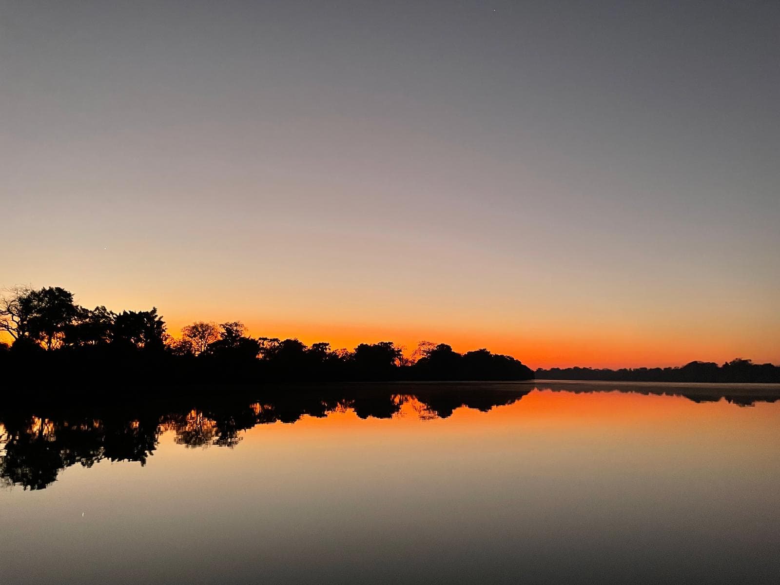South Luangwa National Park