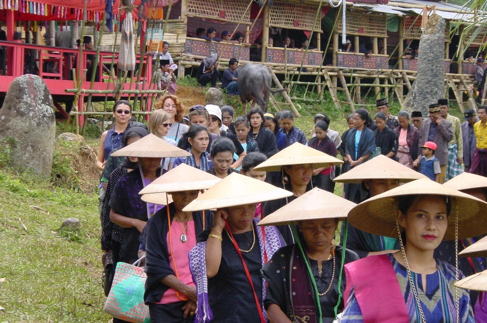 Sulawesi
